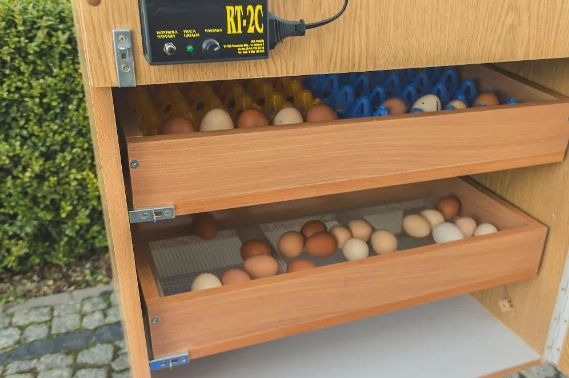 Inkubator 70-80 jaj wylegarka do kurzych SPRAWDZONA gesich FILM nowy