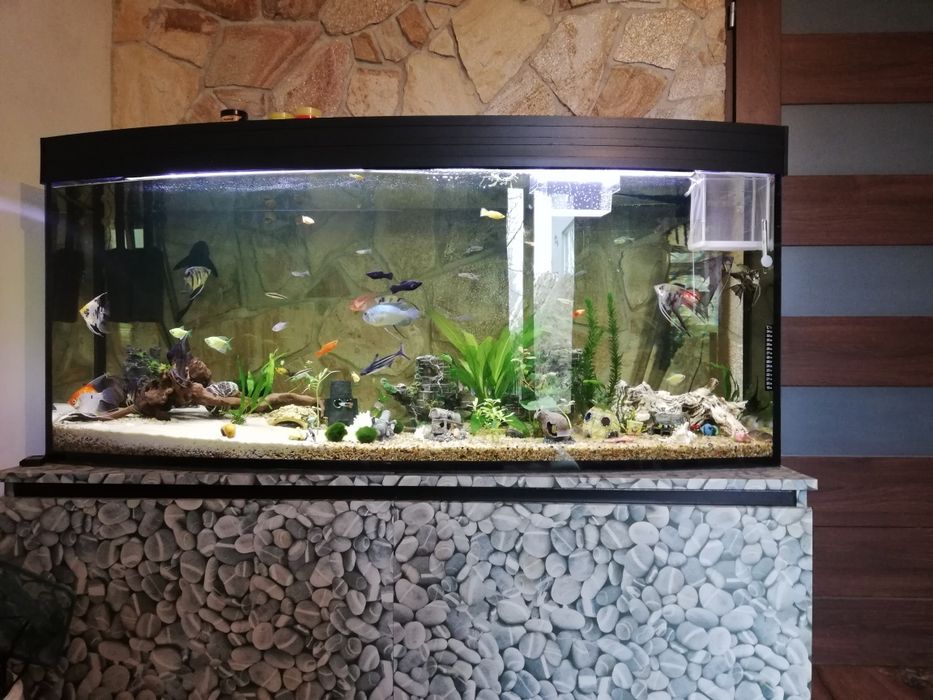 Akwarium z szafką wzmacniana 400l