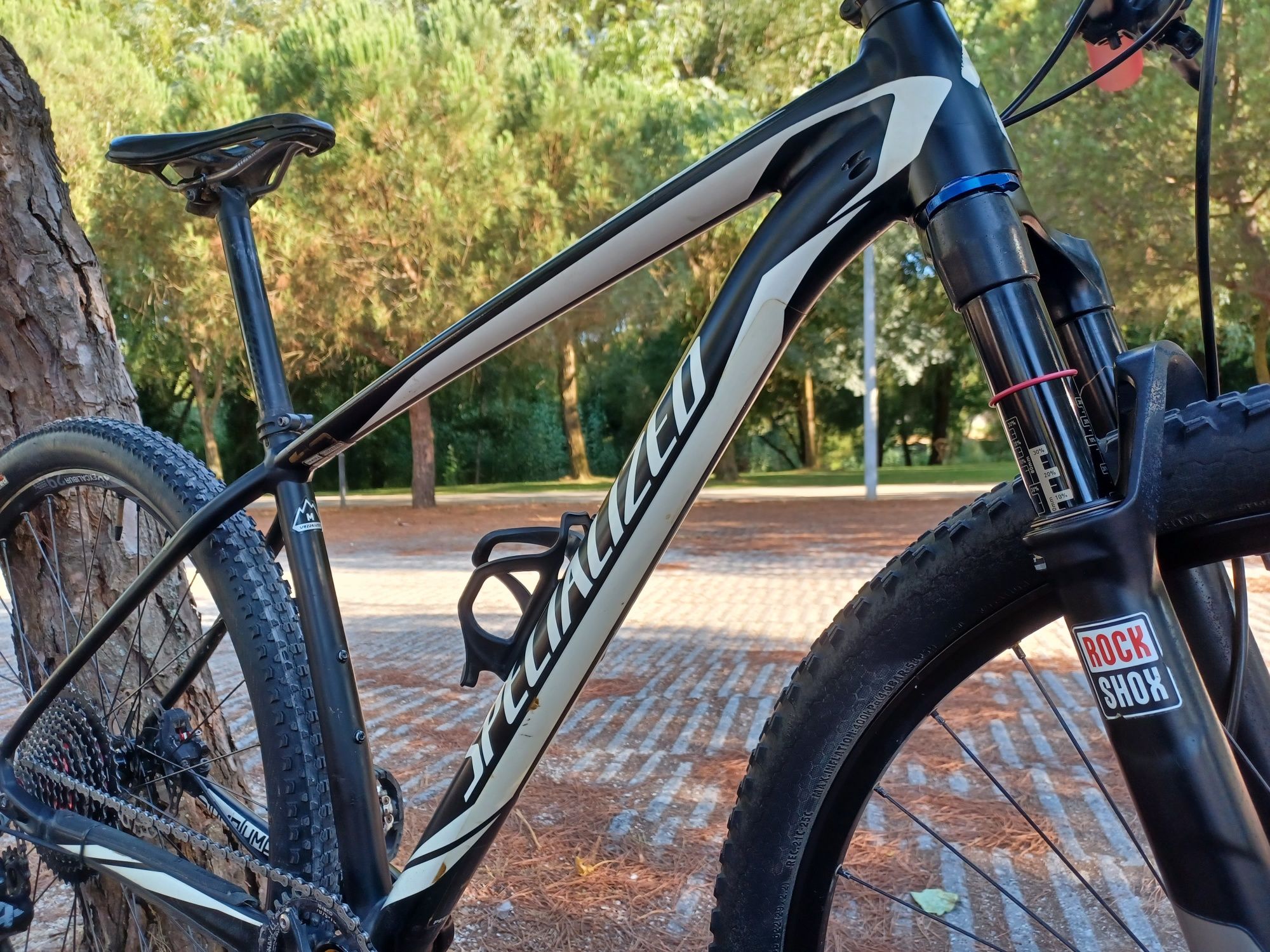 Specialized stumpjumper 29er   12V