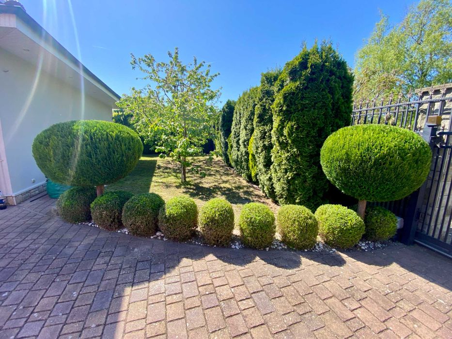 Usługi ogrodnicze - realizacja, pielęgnacja ogrodów