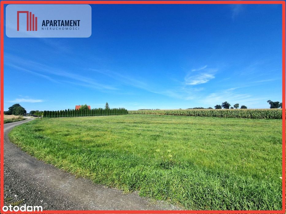 Tylko U Nas! Duża Działka Z  Wz! Dom DO 250m2!