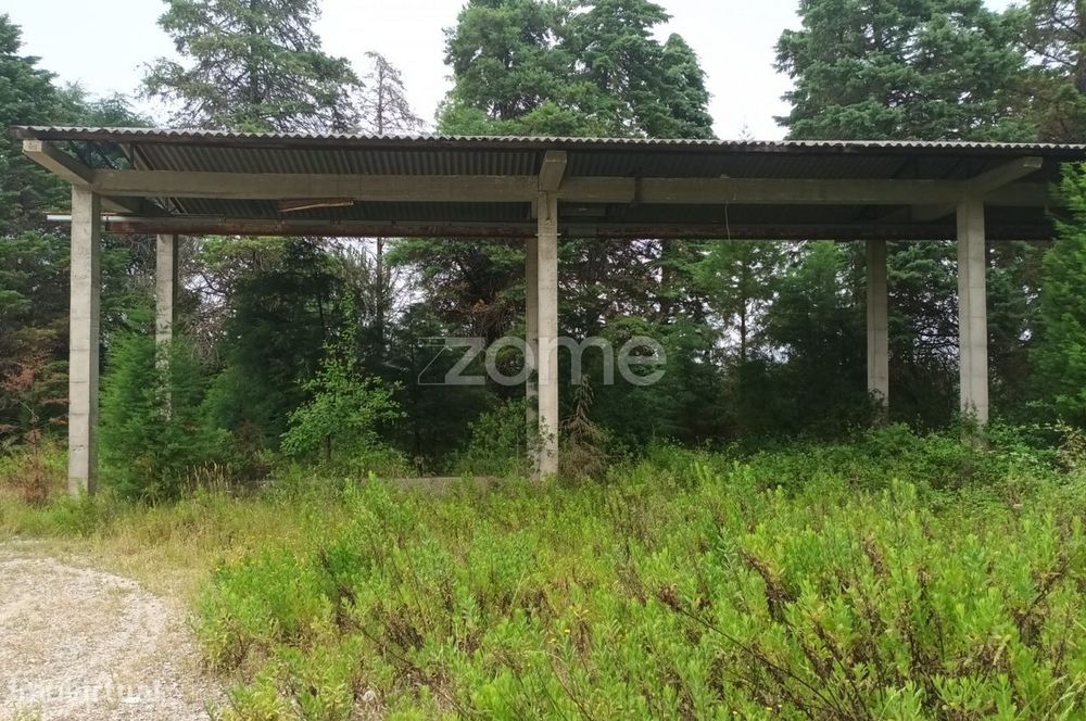 Terreno com Armazem em Monte de Bera-Almalagues