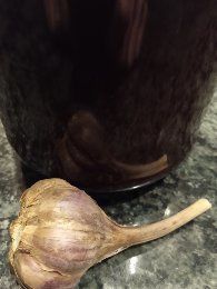 Sok syrop zakwas przytulia pokrzywa Bez oxymel miodunka z Podlasia