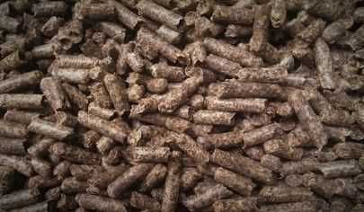 Wysłodki buraczane, Młóto, Śruta sojowa, Śruta Rzepakowa, Koncentrat