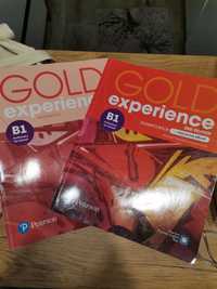 Gold experience B1