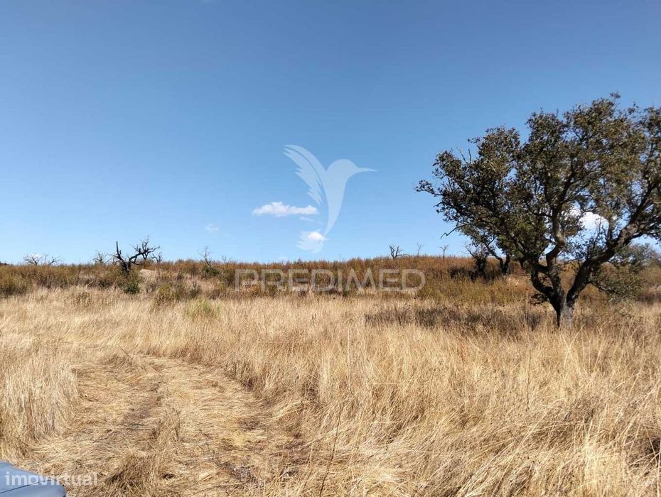 Terreno Rústico com 4,45000(ha) - Rosário, Alandroal