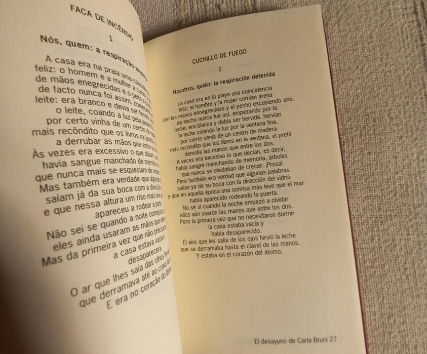 Livro de poesia de Rui Costa O Pequeno Almoço de Carla Bruni
