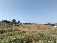 Terreno em Benfica do Ribatejo de 6720,00 m2