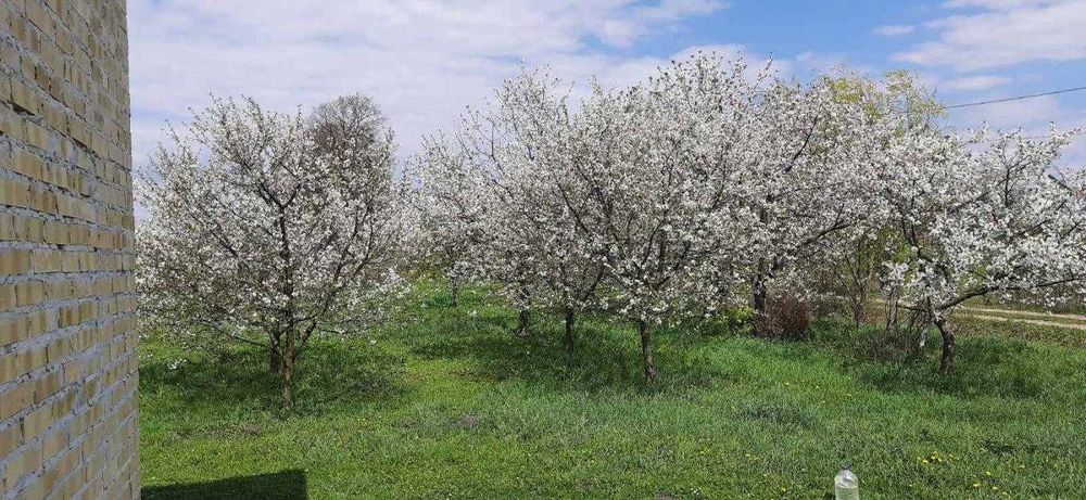 Будинок,Двоповерховий, Ременів, Львів