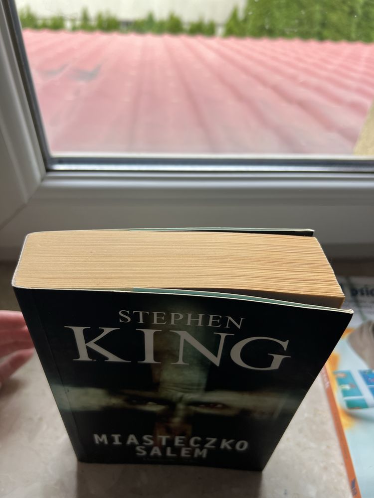 Stephen King Miasteczko Salem