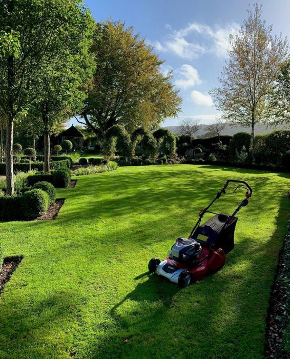 Услуги садовника уборка территории обрезка сада газон хвойные розы