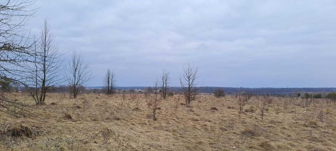 Продаж ділянки с/г в селі Широка Гребля