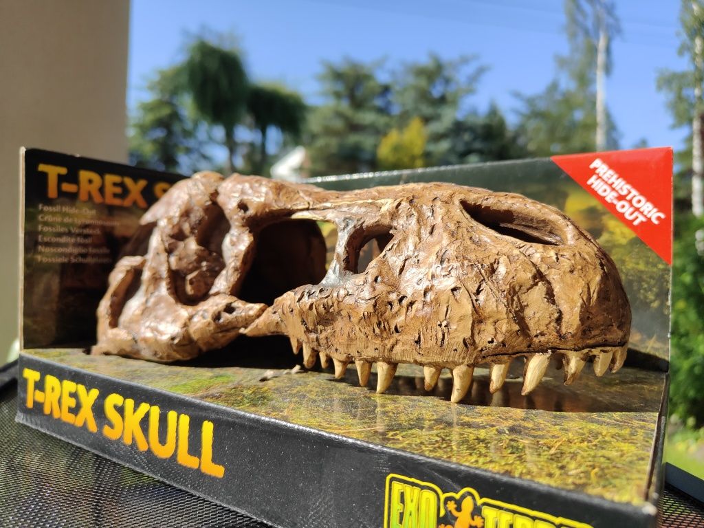 EXO TERRA czaszka t-rex