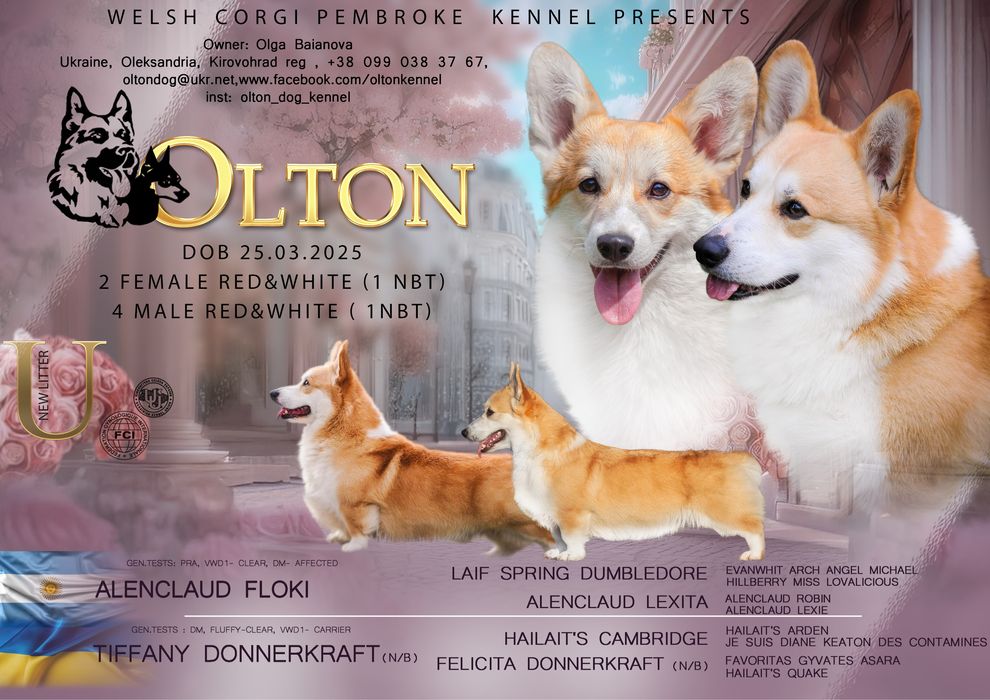 Розплідник коргі КСУ