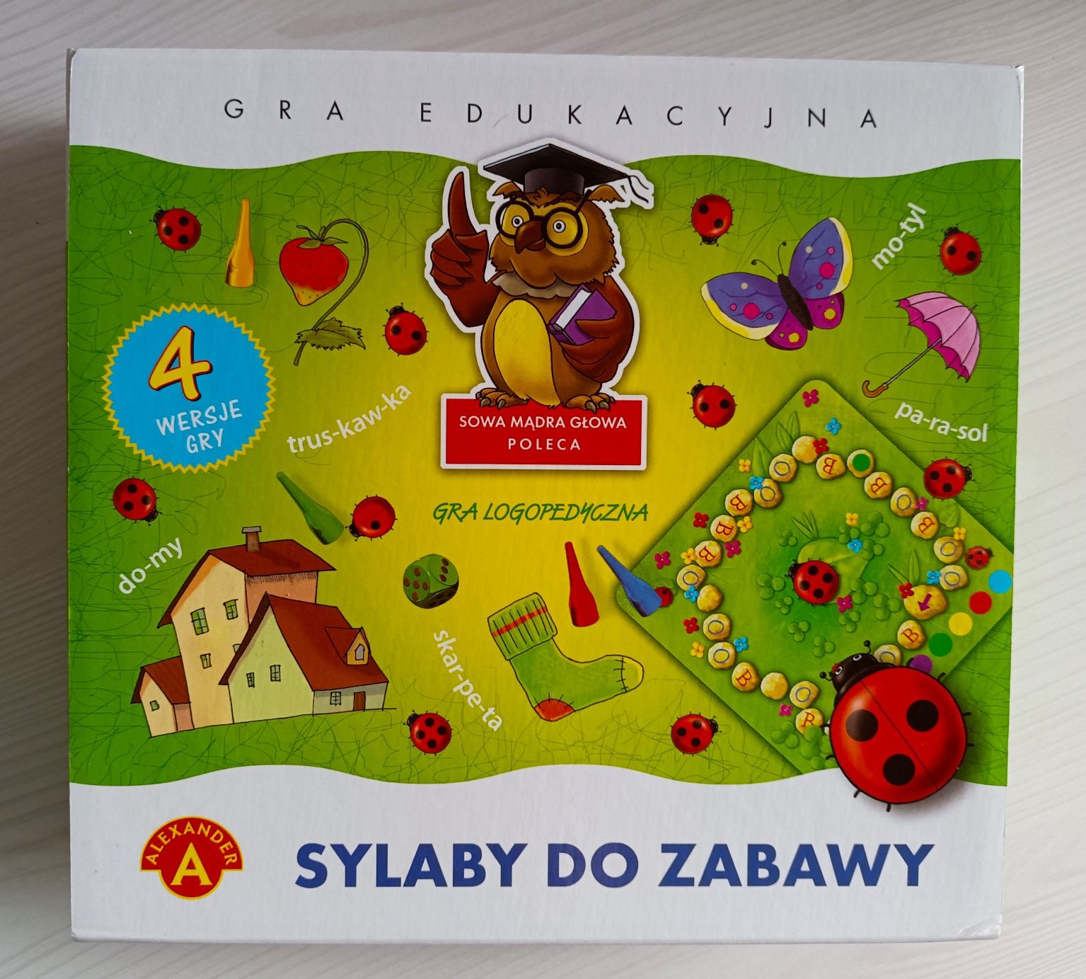 Zestaw puzzli i gier edukacyjnych