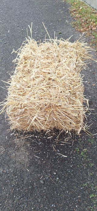 Słoma w kostkach / balotach