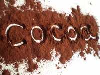 Какао-порошок Extra Brute 22-24% Cacao Barry Callebaut