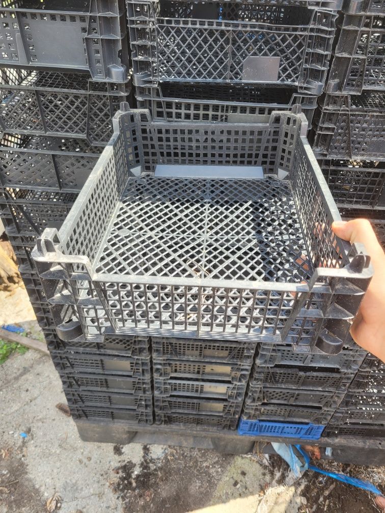 Skrzynki plastikowe  owoce warzywa