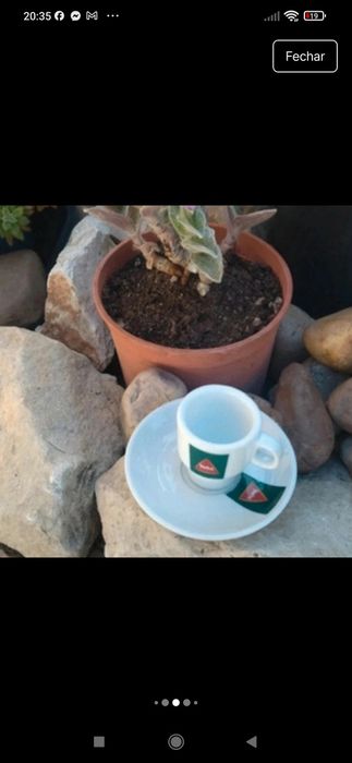 Chávena café com pires porcelana  Delta, coleccionadores com  várias d