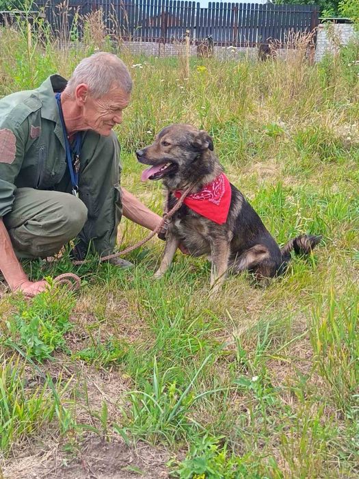 Віддам в добрі руки