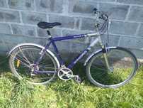 Rower Winora Jamaica 28"