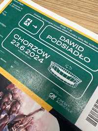 Bilety na koncert Dawid Podsiadło Chorzów 23.06.2024