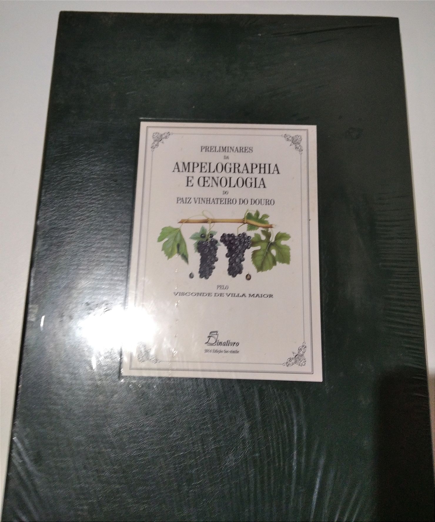 Livro - Gravuras Douro