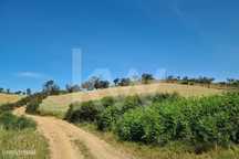 Herdade de 154 ha com ruína habitacional em Cubeiros de Cima, Relíquia