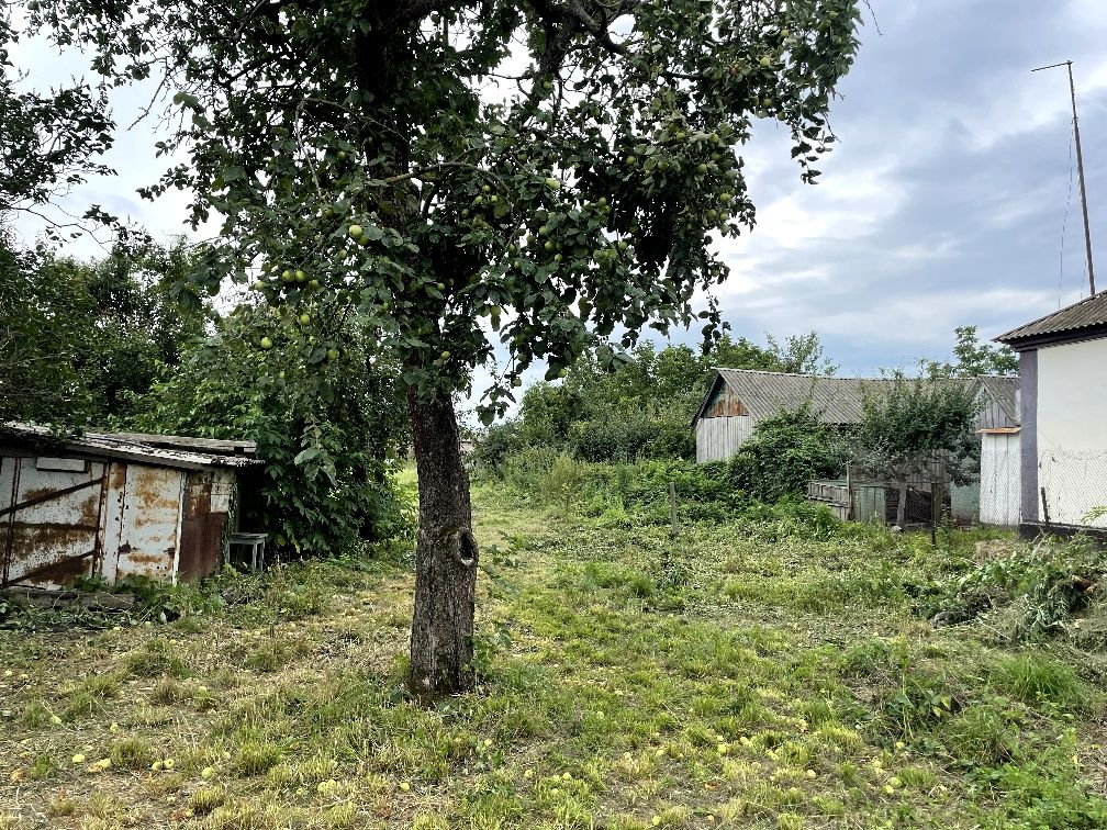 Земельна ділянка зі старим будинком Київська область