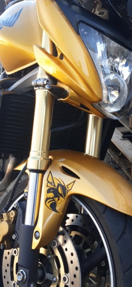 Honda CB600 Hornet Nov/2008