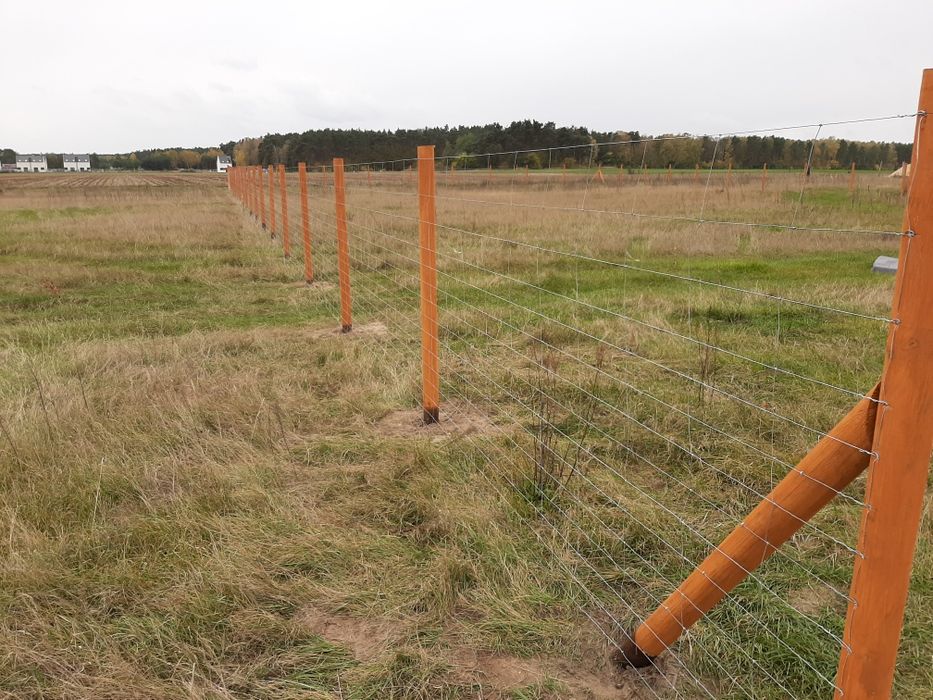 Komplet 1mb ogrodzenie z siatka leśna słupki stemple tymczasowe drewno