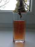 Perfumy Possess. 50 ml