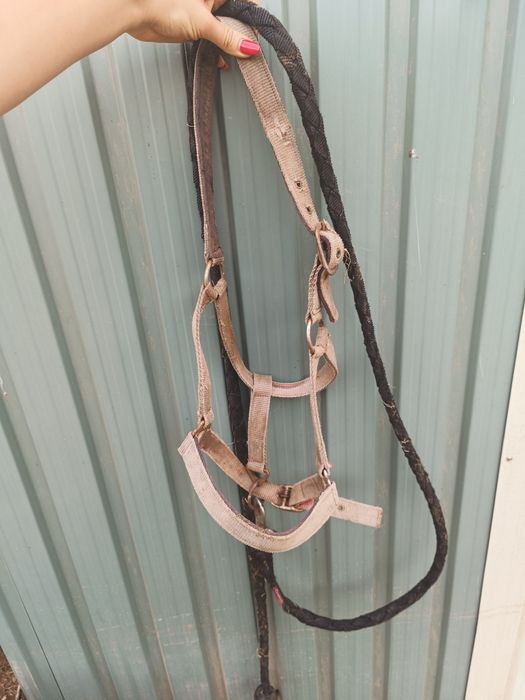 Suadouros e cabeçadas equitação