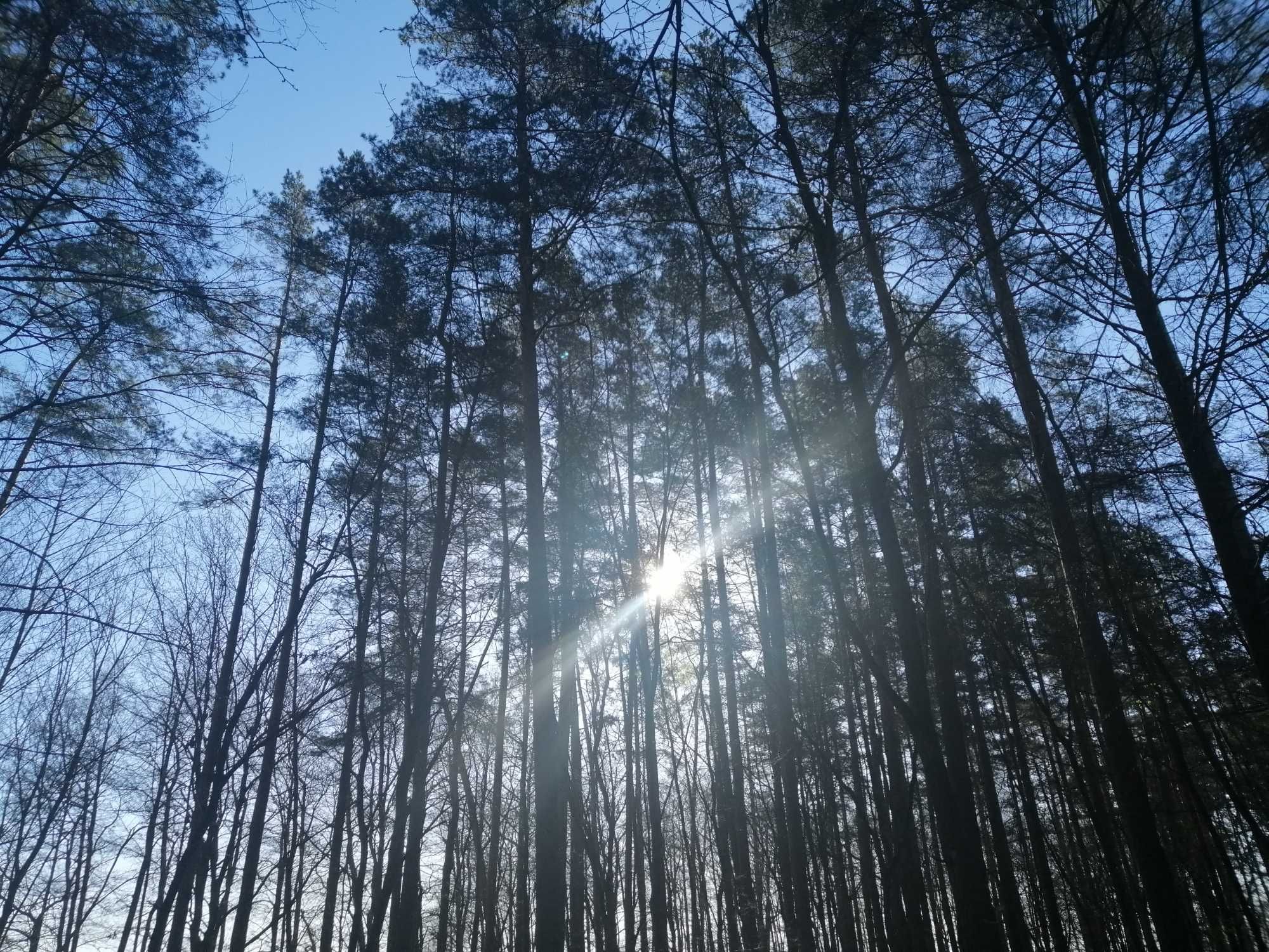 Domek Malinka Mazury nad jeziorem Sasek Wielki koło Szczytna nocleg