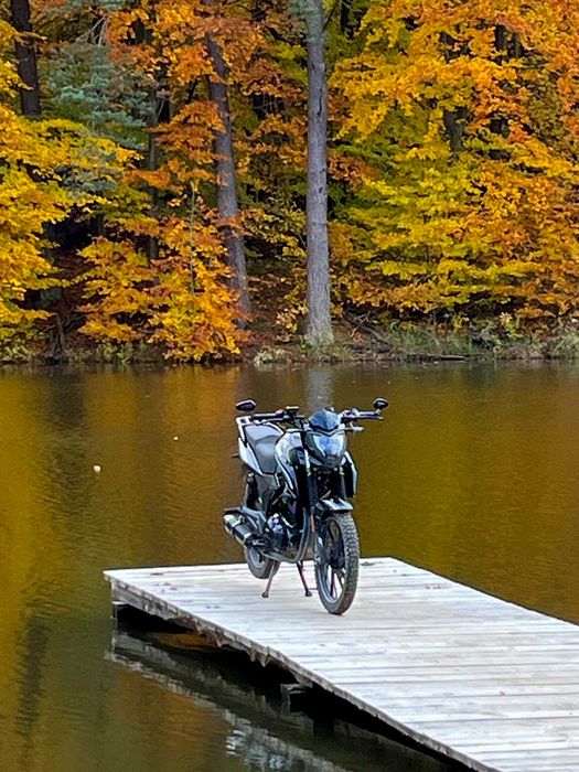 Мустанг регіон 150