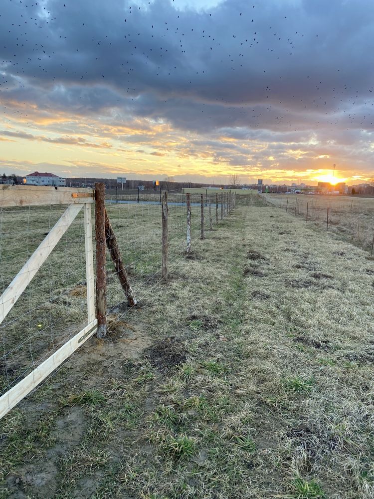 Ogrodzenie Leśne Budowlane Tymczasowe