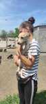 Kochana urocza maleńka sunia  do adopcji