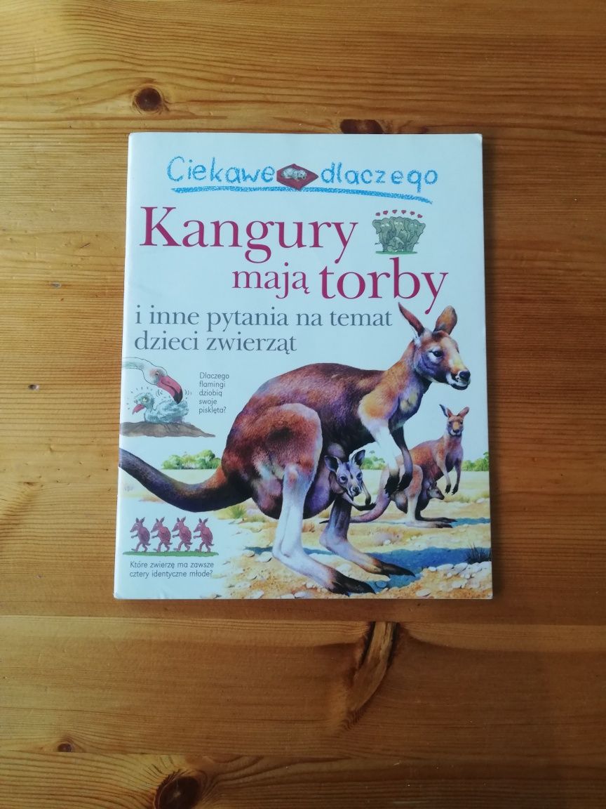 Książka Ciekawe dlaczego Kangury mają torby.