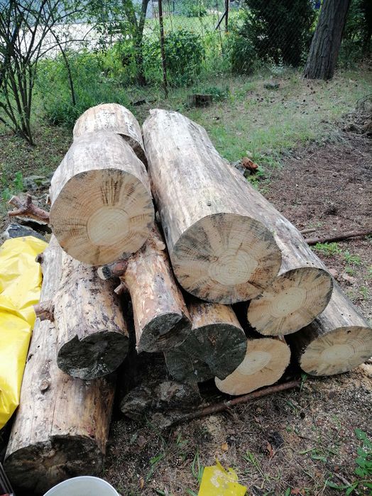 Sprzedam drewno na opał  4 m3
