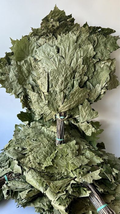 Witki do Sauny, Witkowanie w Saunie, Wenik Bania,