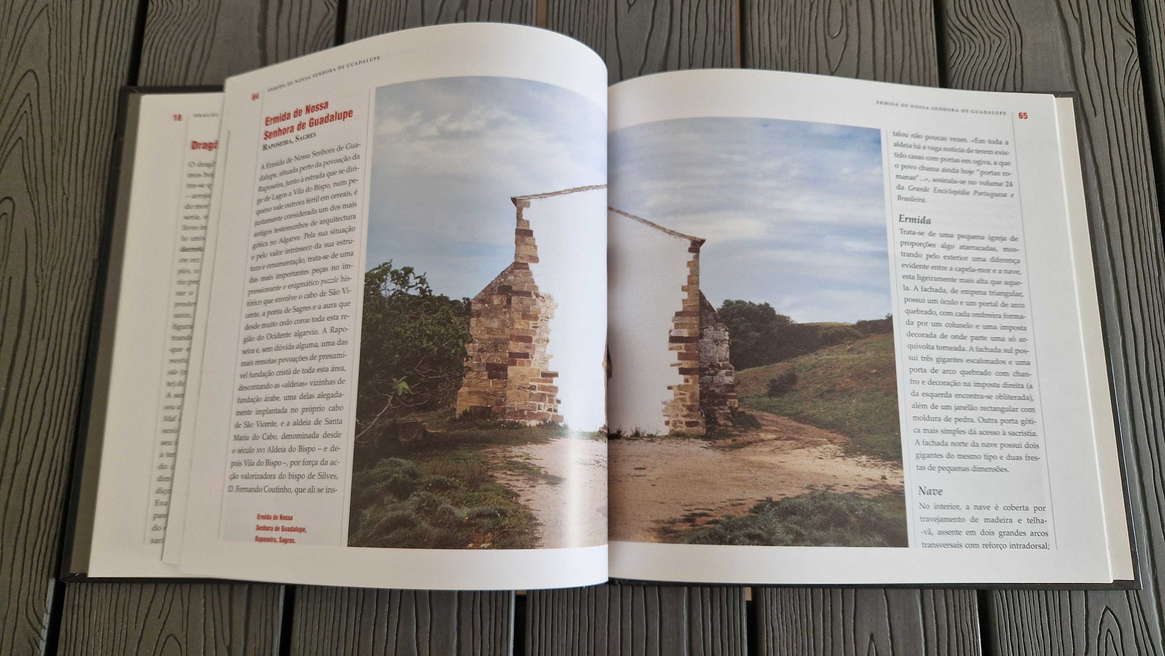 Enciclopédia dos Lugares Mágicos de Portugal - Volume 6