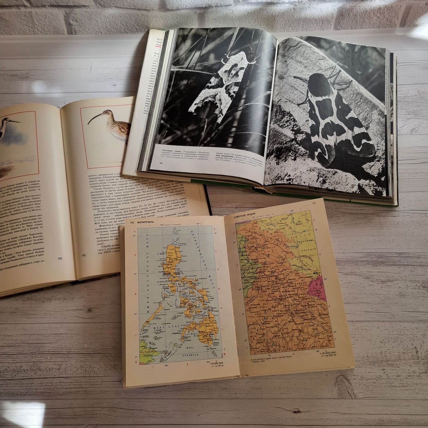 Енциклопедія тварин, ціна за все, Червона книга, Атлас, дитячі книги