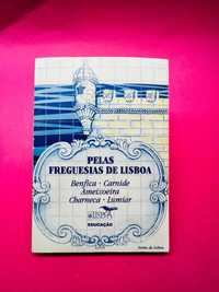 Pelas Freguesias de Lisboa, O Termo de Lisboa