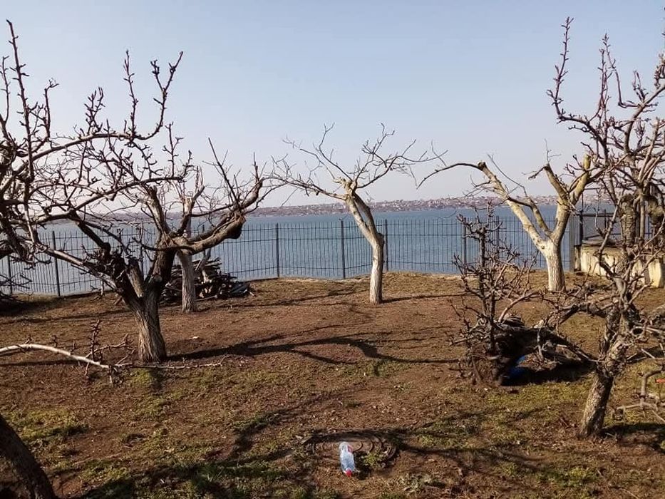 Обрезка декоративних ростений, фруктовых деревьев и кустарников