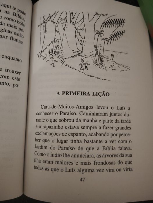 Livros Juvenis Coleção Terra Verde Verbo Usados