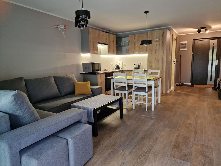 Apartament nad jeziorem mieszkanie pokoje wynajem lokum domek Borówno
