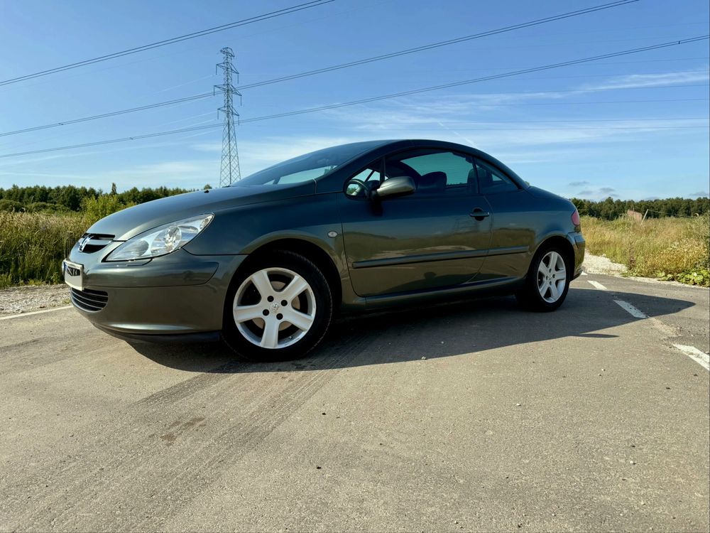 Peugeot 307cc 307 cc Cabrio Kabriolet 2.0 Benzyna