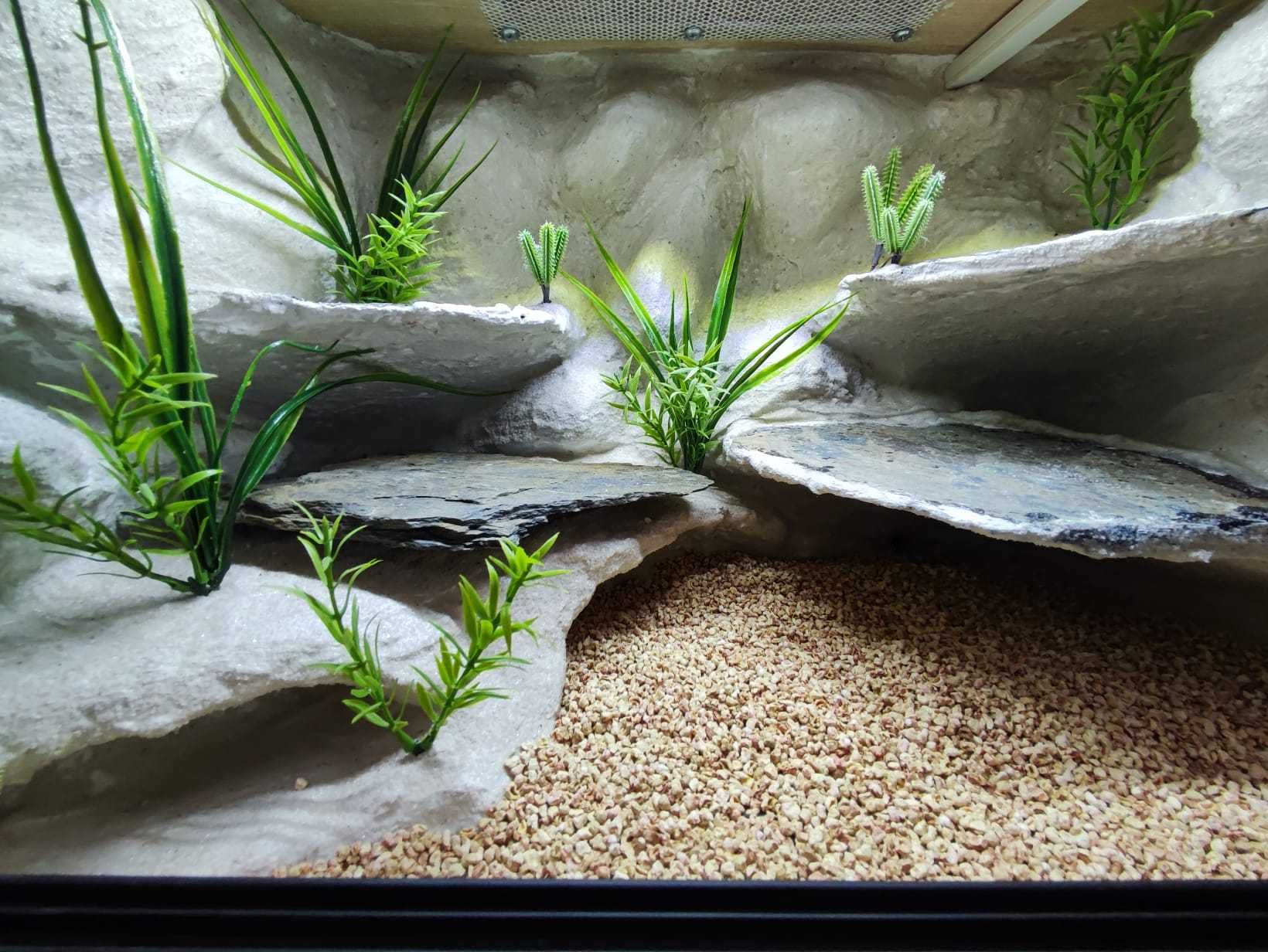 Terrarium pustynne nr638 60/40/40 dla gekona lamparciego NA ZAMÓWIENIE