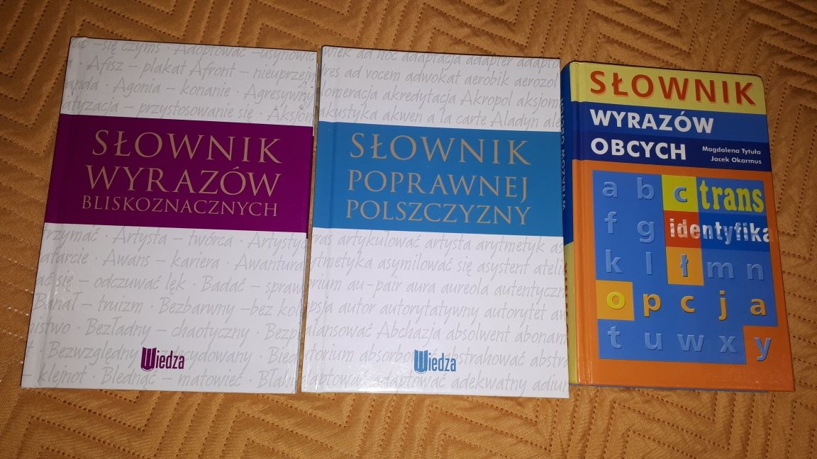 3 Słowniki:wyrazów bliskozn.,obcych,poprawnej polszczyzny