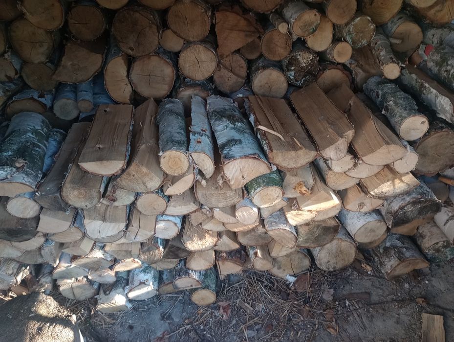 drzewo opałowe brzoza